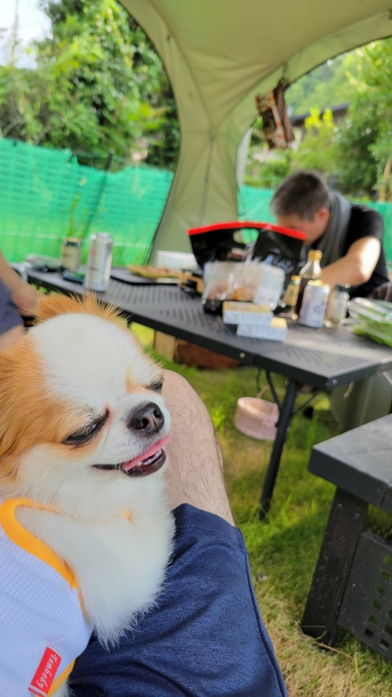 千葉県市原市水沢 古民家キャンプ場